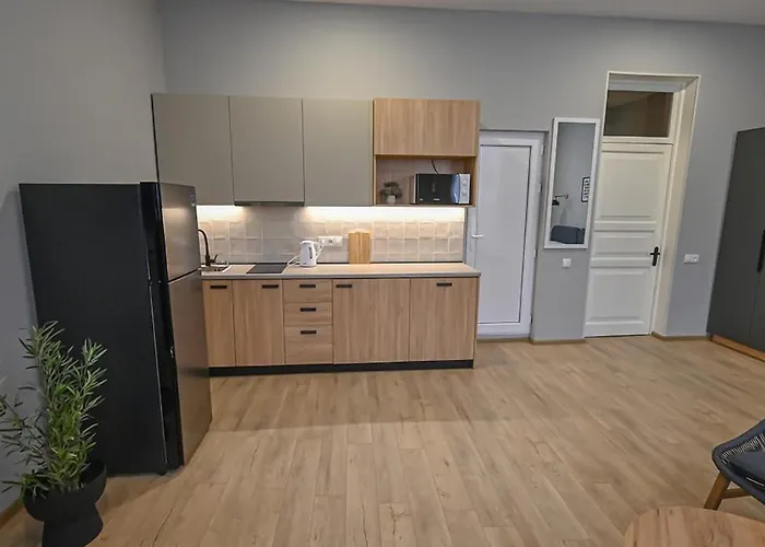 Big Studio Apt.On Liberty Square